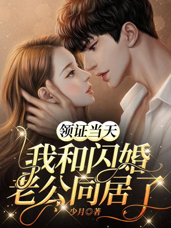 领证当天我和闪婚老公同居了小说